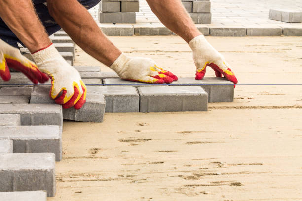 Best Driveway Paving Contractor  in Nashotah, WI
